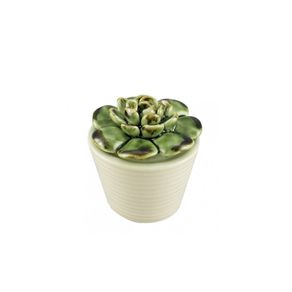 Vaso Suculenta BTC Decor