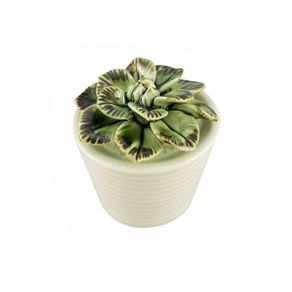 Vaso Suculenta Grande Unid.