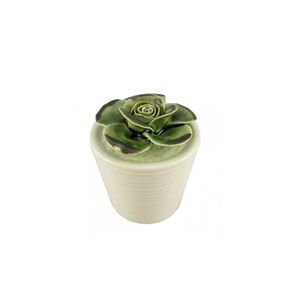 Vaso Suculenta BTC Decor
