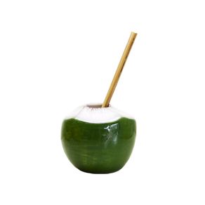 Copo Coco com Canudo Bambu Sonia Pierry