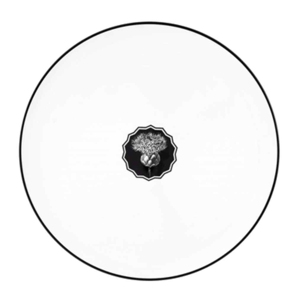 va_pratomarcadorherbariae_white_38375