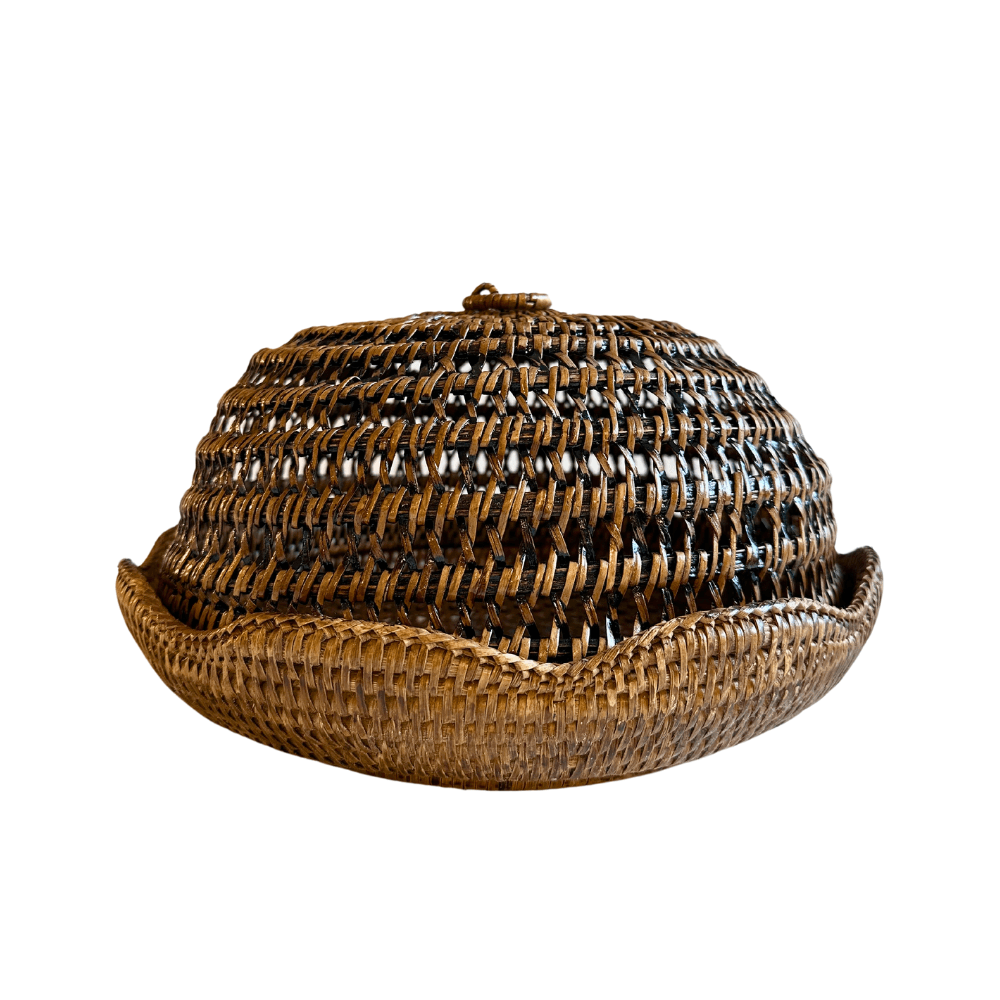 is_pratoparabolorattanlirieotus_40052-1